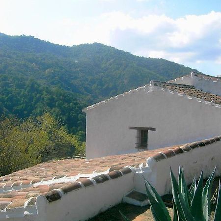 Molino El Pinillo Villa Jubrique Eksteriør billede