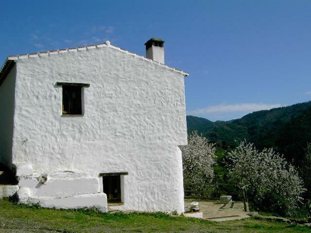 Molino El Pinillo Villa Jubrique Eksteriør billede
