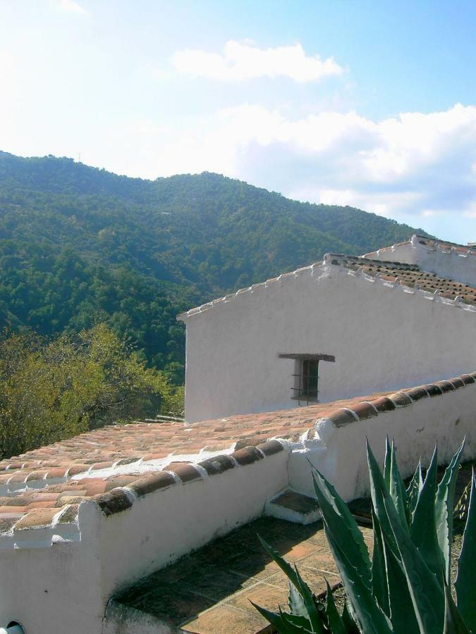 Molino El Pinillo Villa Jubrique Eksteriør billede